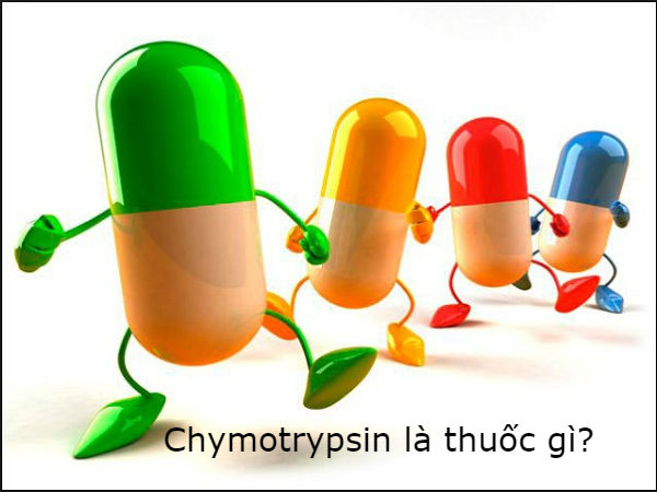 Chymotrypsin